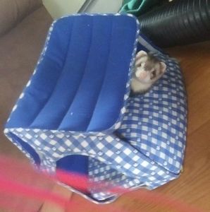 Meet your Posher, Danielle